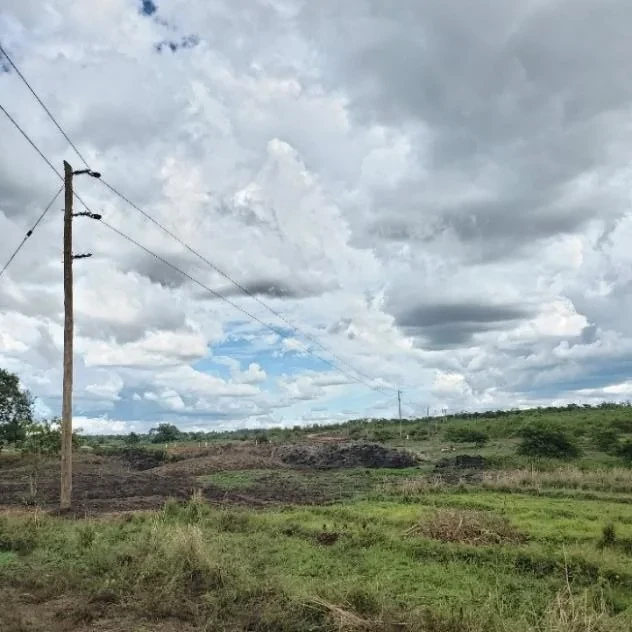 Buckreef relocated line section