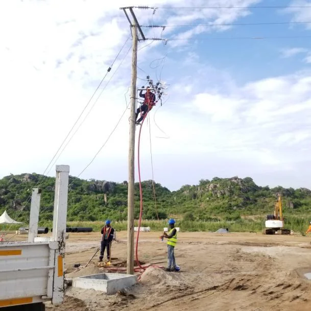 Butimba Treatment Plant electrical works